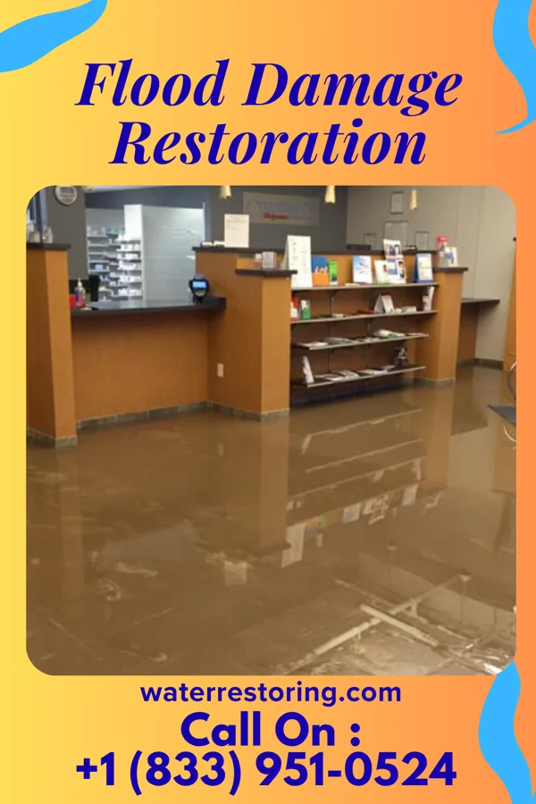 Flood Damage Restoration in Norwalk, CT