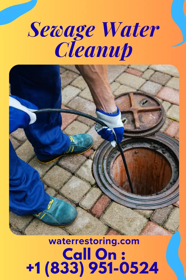 Sewage Water Cleanup in Norwalk, CT